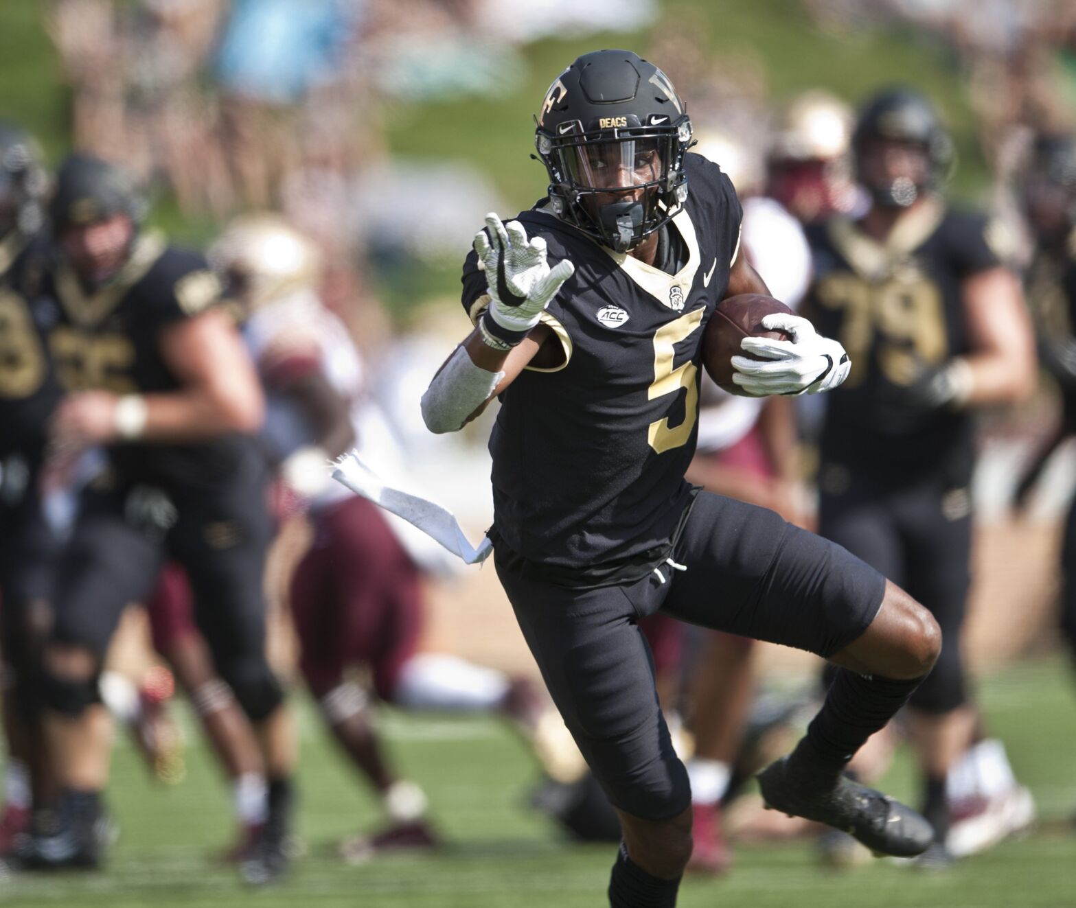 Florida State Wake Forest football